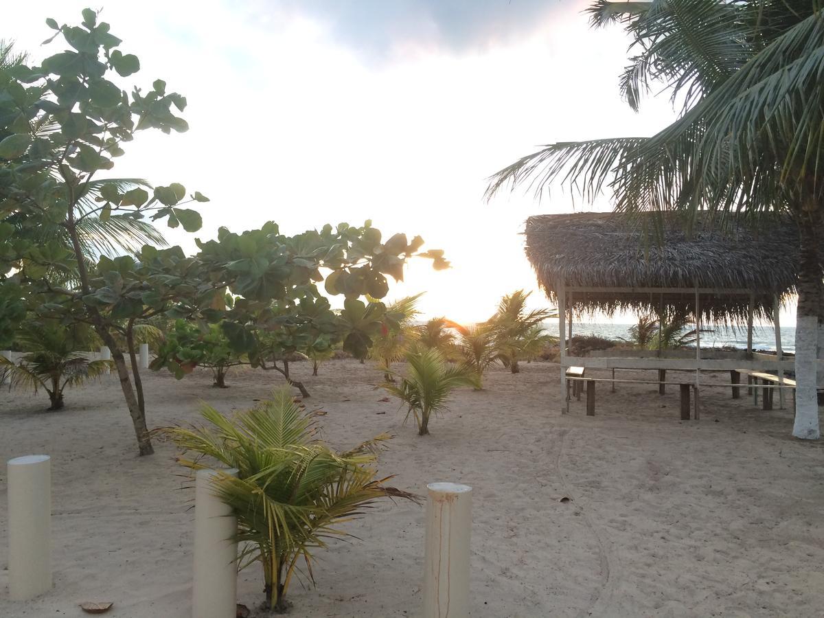 Apart Hotel Beira Mar マラゴージ エクステリア 写真